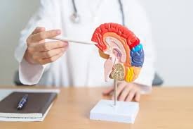Neuro Psychiatrist Mahasamund Clinic