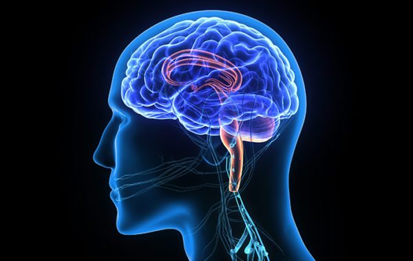 Neuro Psychiatrist in Kondagaon