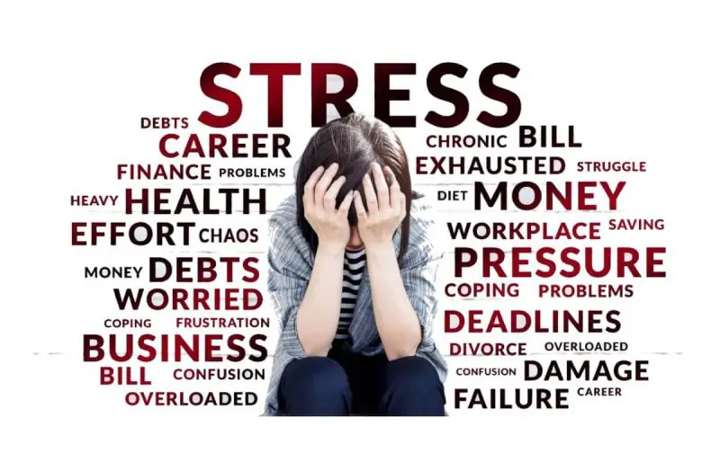 Stress counselling in rajnandgaon