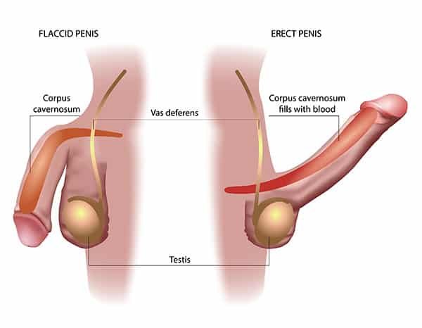 Balod Erectile Dysfunction Treatment Doctor