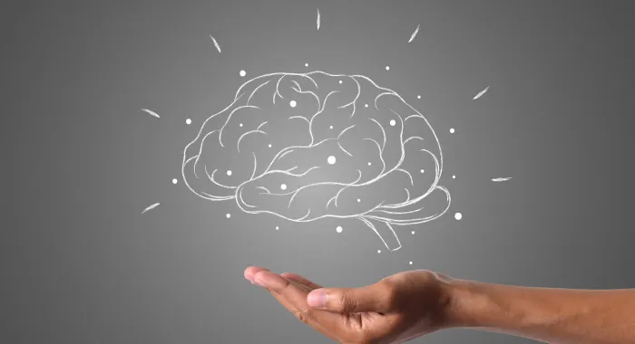 Psychiatrist Balod clinic